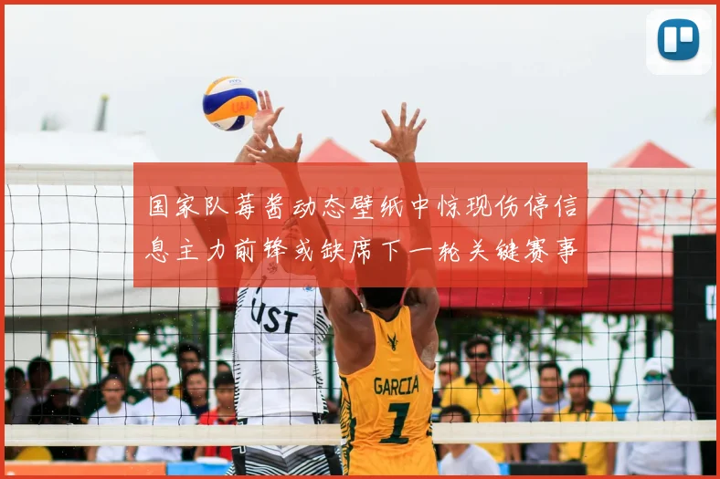 国家队莓酱动态壁纸中惊现伤停信息主力前锋或缺席下一轮关键赛事