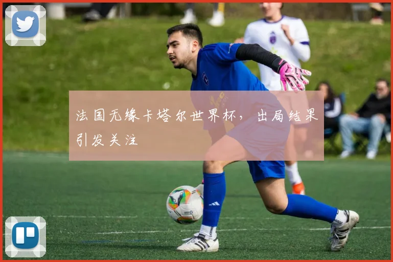 法国无缘卡塔尔世界杯,出局结果引发关注