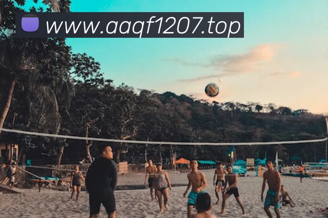 2008年NBA选秀顺位名单公布罗斯成状元比斯利榜眼梅奥探花